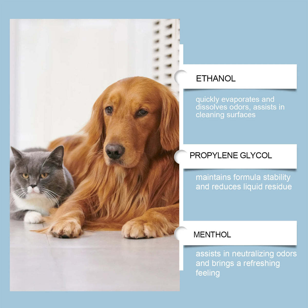Plant-Based Pet Odor Eliminator Spray – Citrus & Green Tea