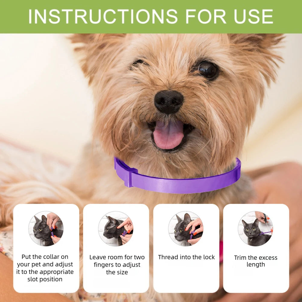 Instructions for use showing a dog wearing a purple pheromone collar and steps for fitting and trimming