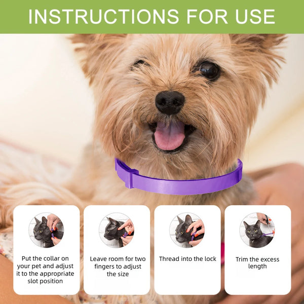 Instructions for use showing a dog wearing a purple pheromone collar and steps for fitting and trimming