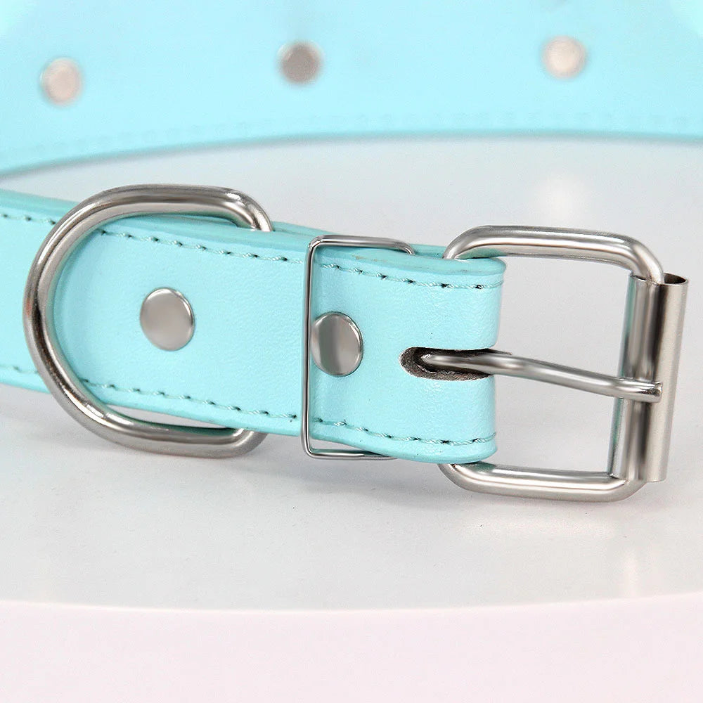Light blue padded leather dog collar with silver hardware and bone rivets