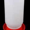 Automatic Poultry Feeder and Drinker Water Dispenser