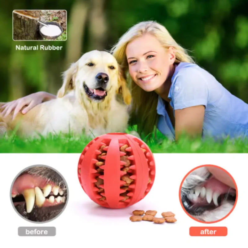 Pelota Interactiva Dispensadora de Premios para Perros