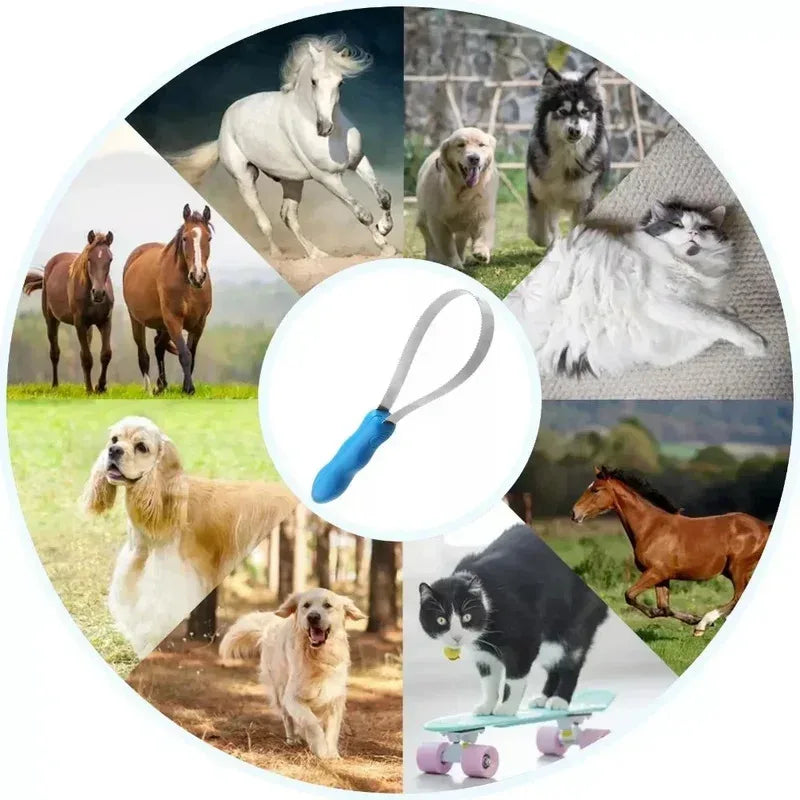 Outil de toilettage anti-démangeaisons pour chevaux et chiens