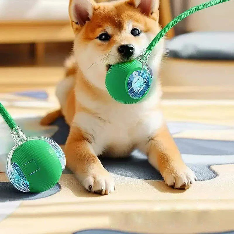 Interactive Rolling Cat Toy Ball with Smart Obstacle Avoidance