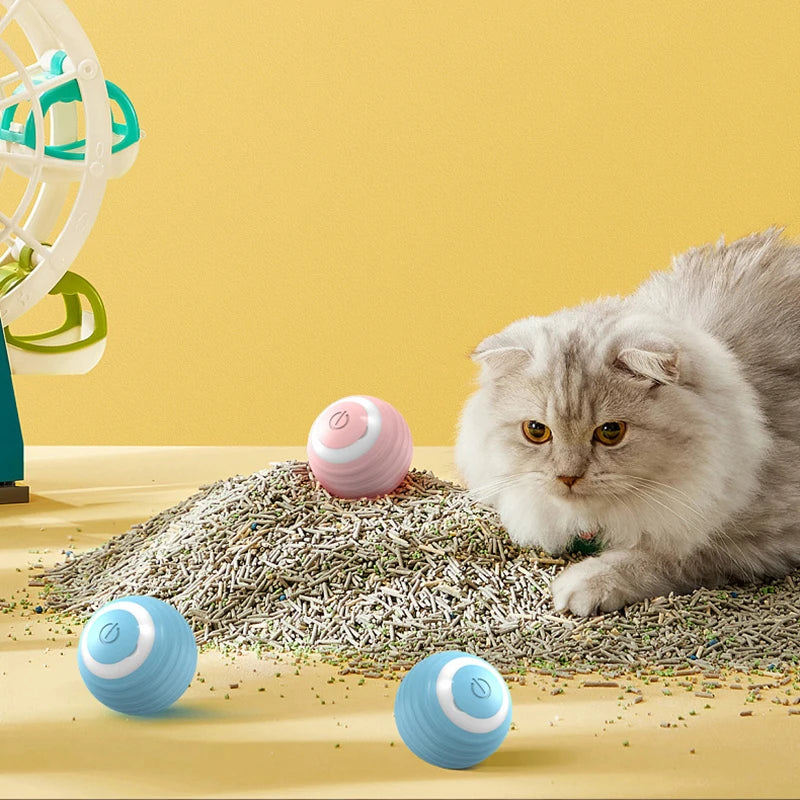 Ein flauschiger grauer Kater schaut auf bunte Rollen auf einer Oberfläche mit einem grünen Spielzeug im Hintergrund.