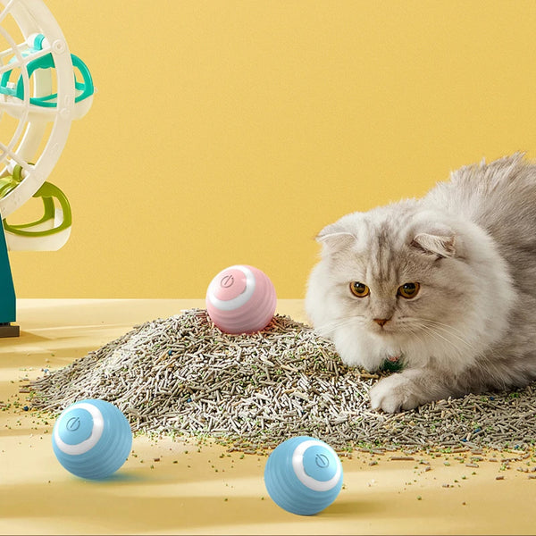 A fluffy gray cat is looking at several colorful rolling balls on a surface with a green toy in the background.