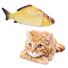 Interactive Floppy Fish Cat Toy with Motion Sensor