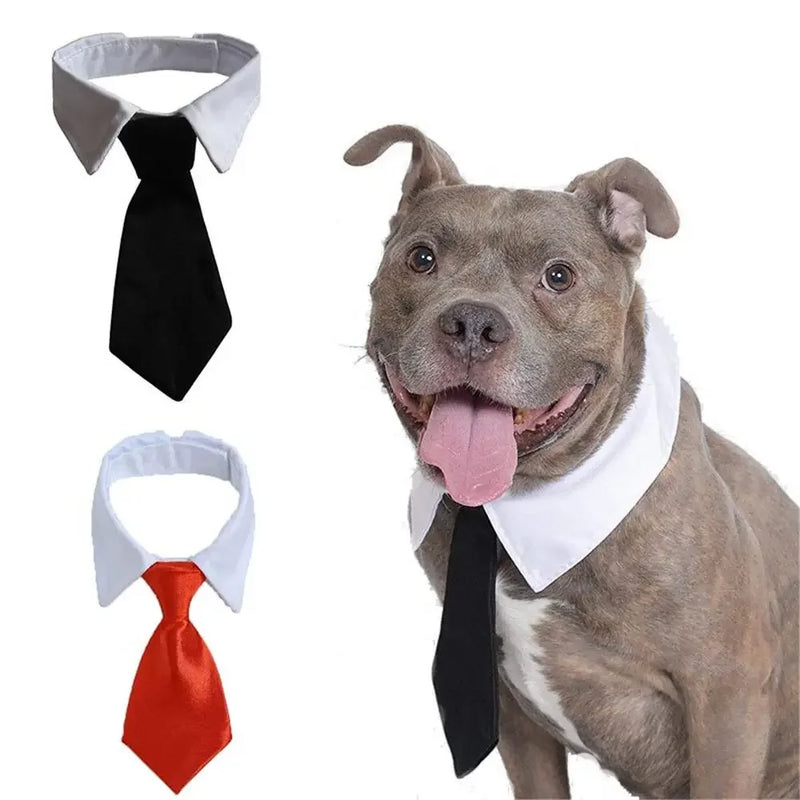 Corbata y Pajarita Formal para Mascotas