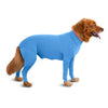 4-Leg Dog Recovery & Anxiety Calming Onesie