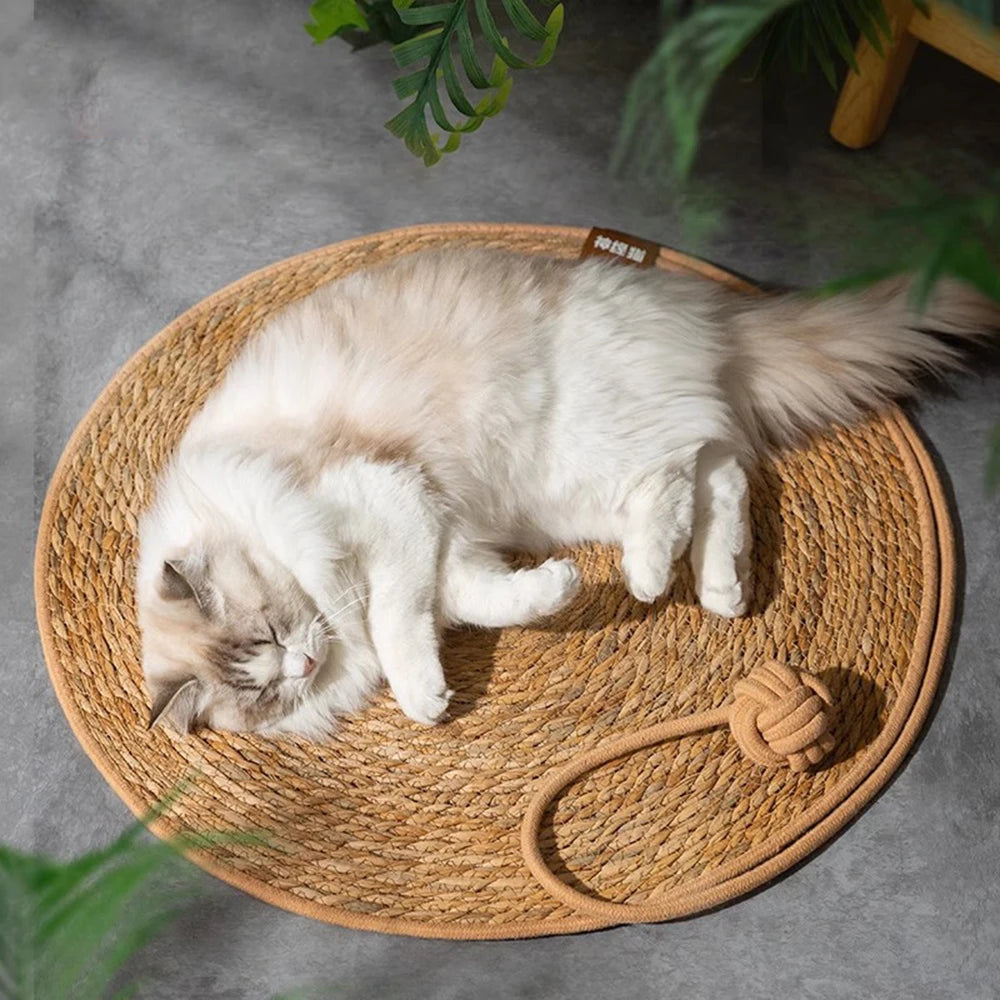 A fluffy white cat is relaxing on a round natural rattan mat for scratching.