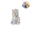 Pet Hair Keepsake Keychain with Transparent Capsule