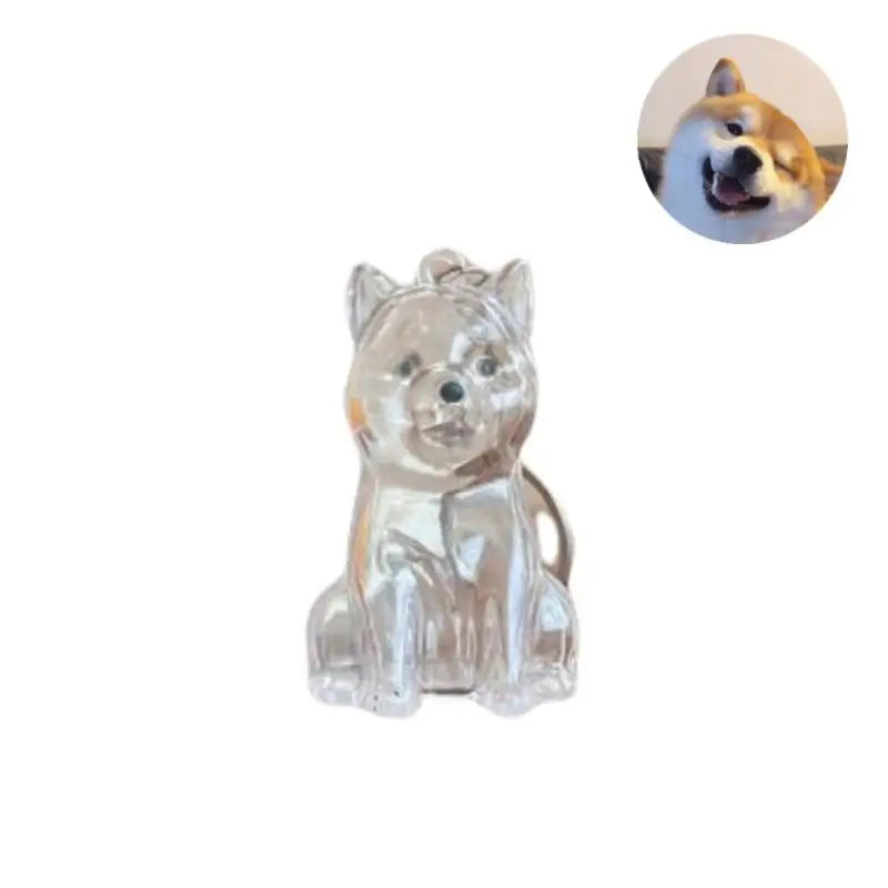 Pet Hair Keepsake Keychain with Transparent Capsule