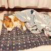 Tapis de Sommeil pour Animaux en Flanelle