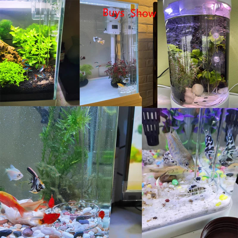 Glas-Aquarien-Fütterungsrohr mit Saugnapf
