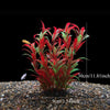 Realistic Artificial Aquarium Plants for Fish Tank Décor