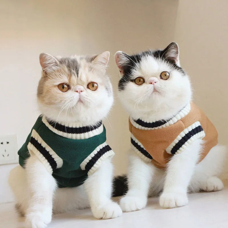 Two fluffy cats wearing cozy cotton pullover sweaters in shades of olive green and tan.