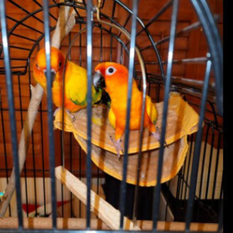 Two orange and yellow parrots are perched on a wooden hammock inside a wire bird cage.
