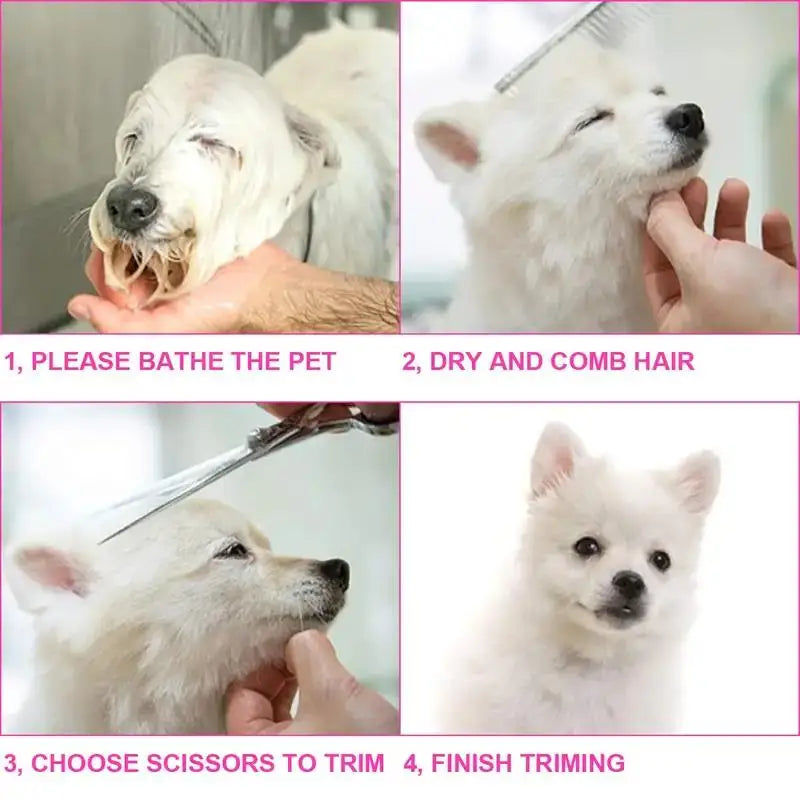 Guía de cuatro pasos para bañar, secar y peinar el pelo de un perro blanco, recortar y terminar el recorte.