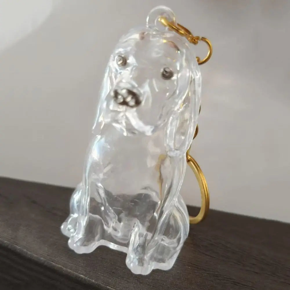 Pet Hair Storage Keychain – Transparent Dog & Cat Fur Keepsake Pendant
