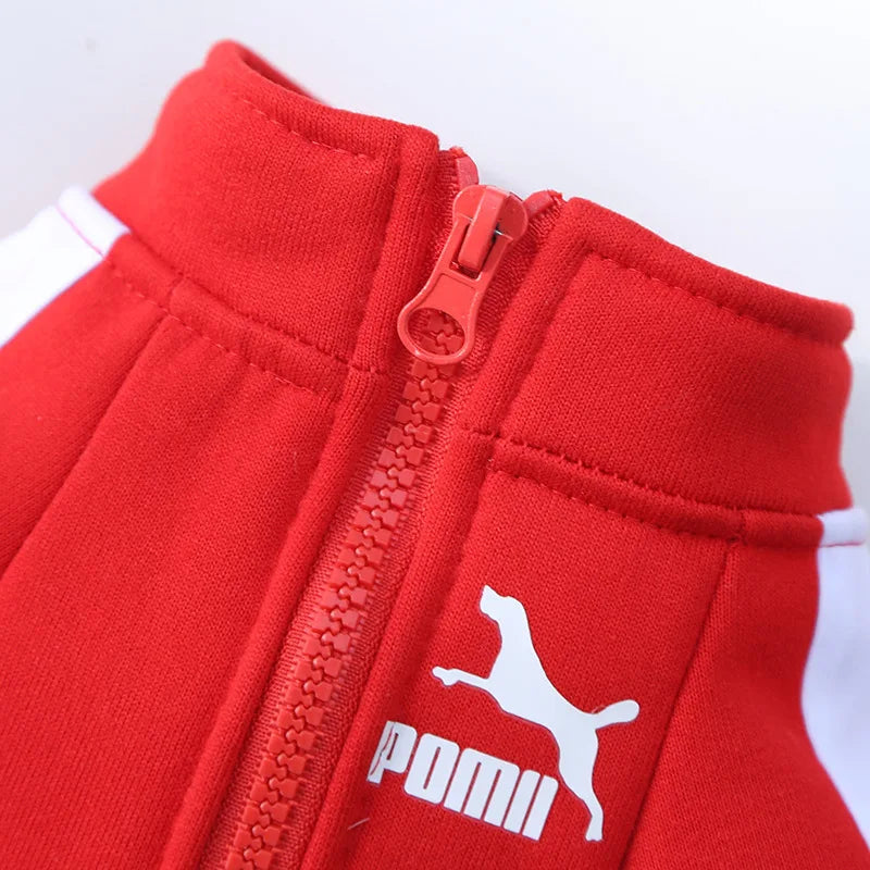 Chaqueta de Béisbol para Perros