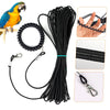 Bird Outdoor Training Harness Rope and Foot Chain