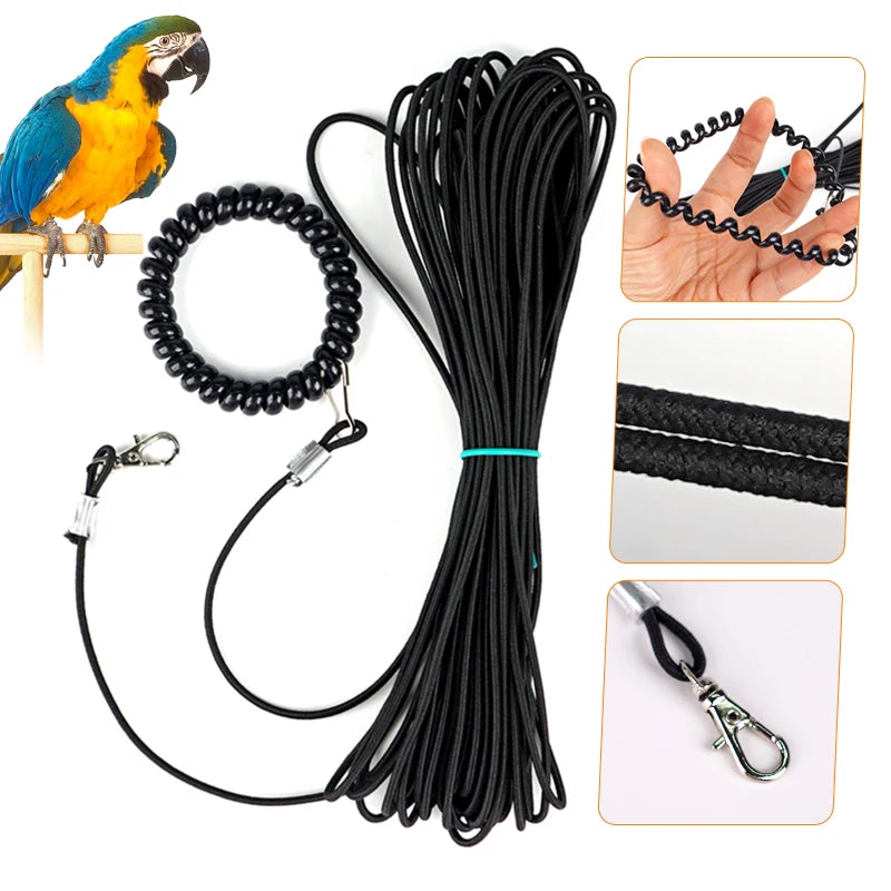 Bird Outdoor Training Harness Rope and Foot Chain