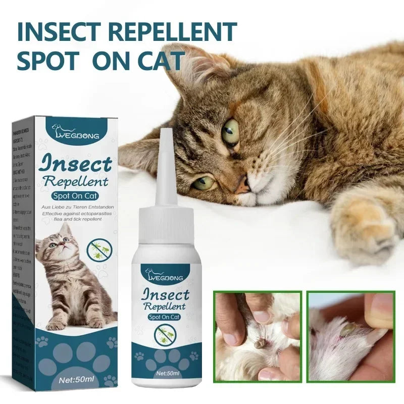 Un chat tigré à côté d'un flacon de spray traitant pour la peau des chats.