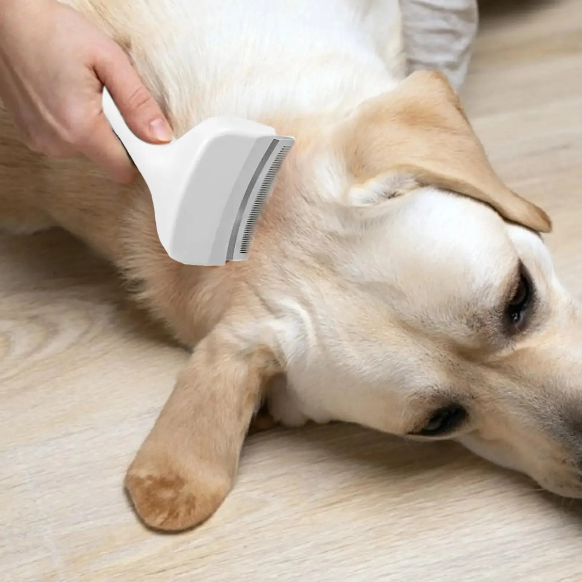 Pet Deshedding Brush with V-Tooth Comb - Gentle Undercoat Rake for Dogs & Cats