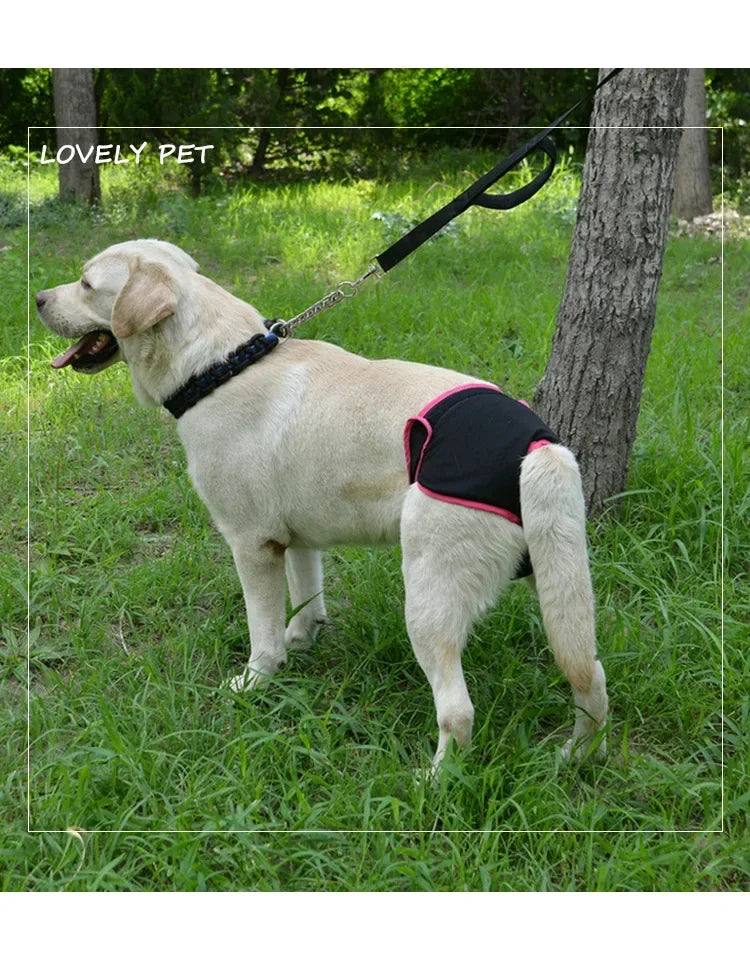 Reusable Dog Diapers for Heat Cycles and Incontinence
