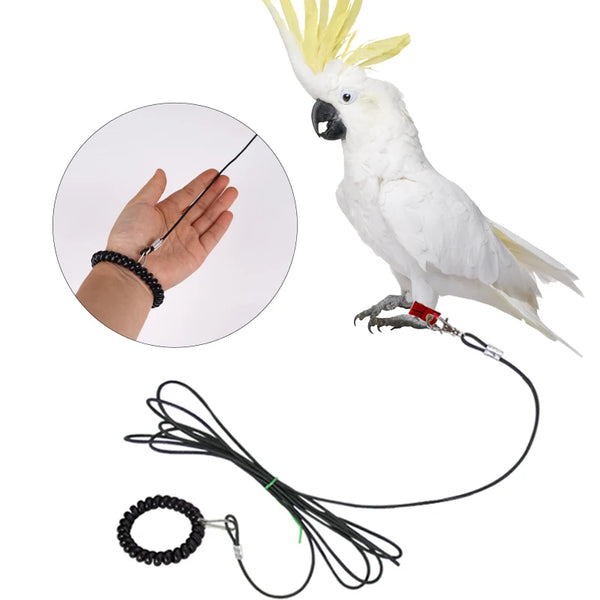 Bird Outdoor Training Harness Rope and Foot Chain