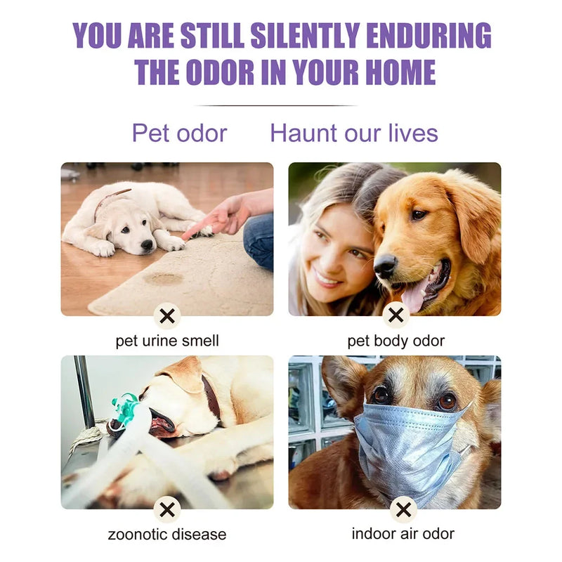 Lavender Oil Dog Deodorizer Spray