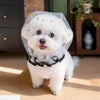 Breathable Star Tulle Dog Muzzle Cover for Outdoor Walks