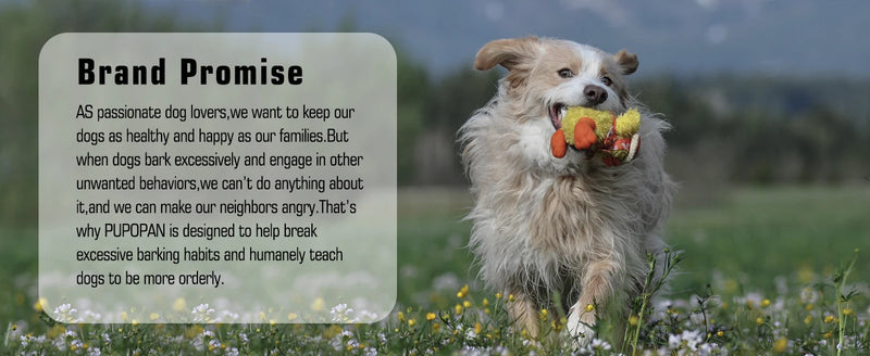 Collier Anti-Aboiements Rechargeable pour Chien