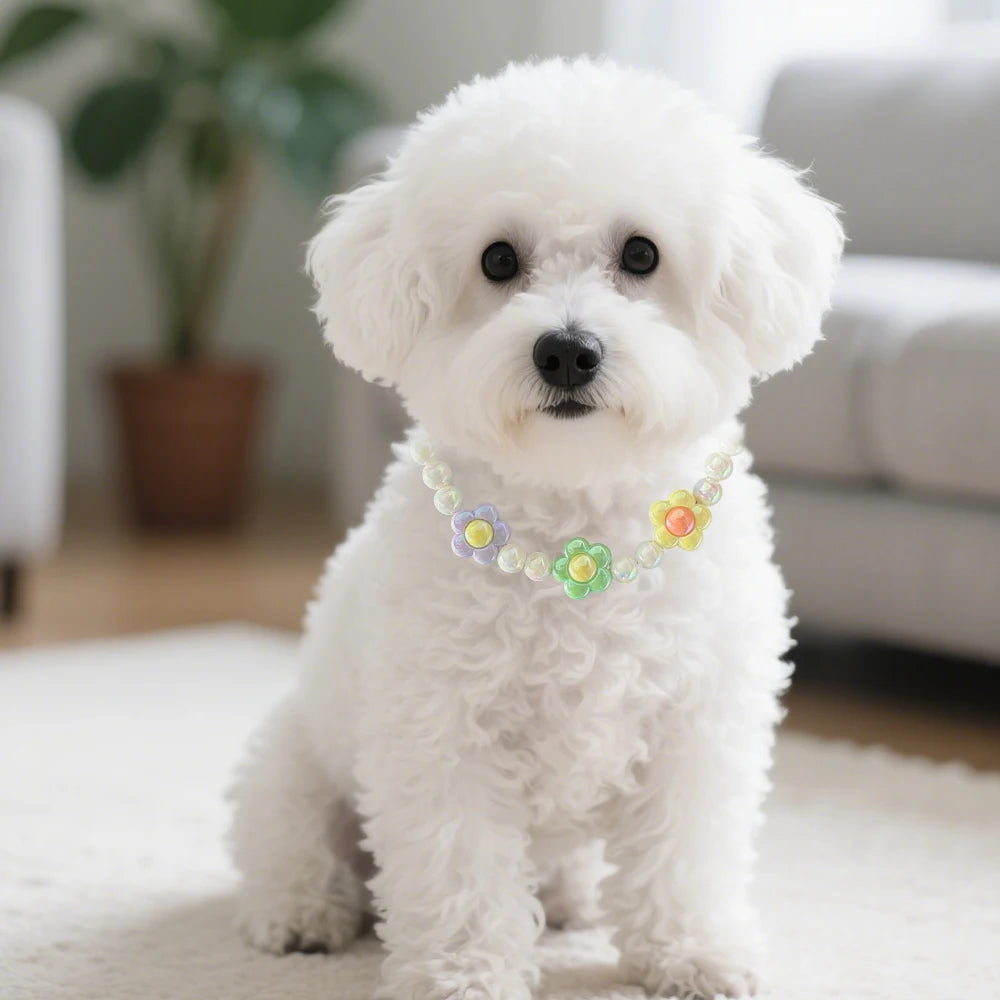 A fluffy white dog wearing a pastel floral beaded collar necklace set.