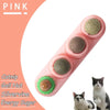 Edible Catnip Wall Balls for Dental Care and Play