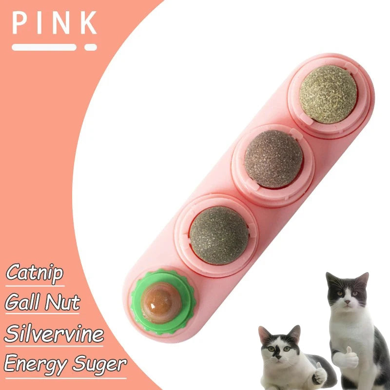 Edible Catnip Wall Balls for Dental Care and Play