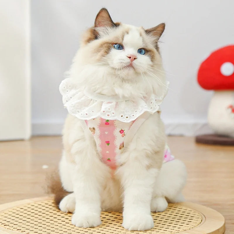 Lace Collar Dog Vest with D-Ring Summer Pet Shirt