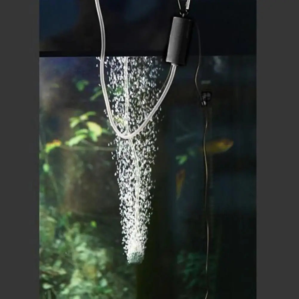 Système de tuyauterie clair avec une pierre à air utilisé pour aérer l'eau d'un aquarium.