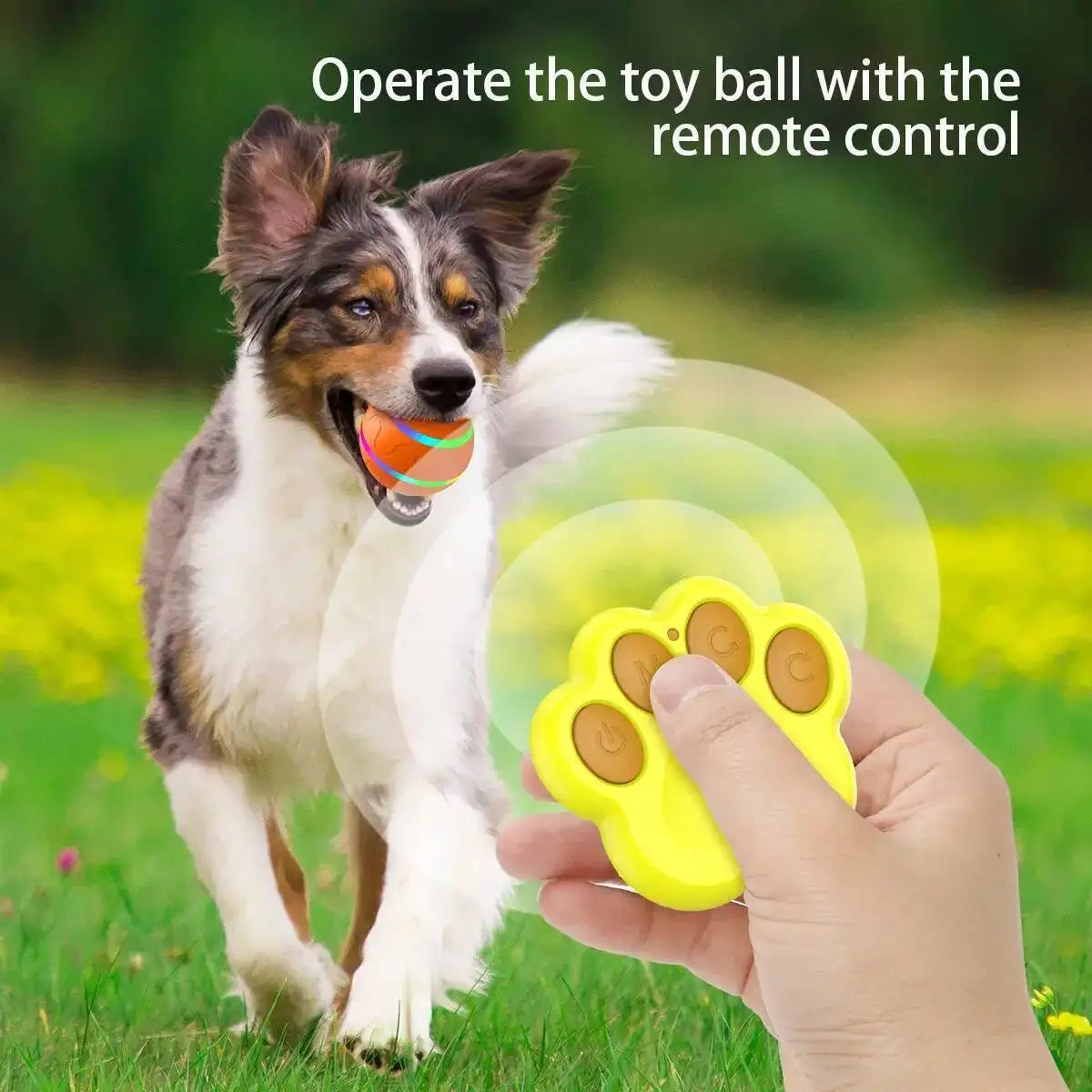 A dog is operating a yellow toy ball with a remote control in a grassy outdoor setting.