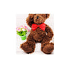 Pet Bow Tie Collar with Adjustable Strap