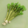 Interactive Catnip Chew Toy for Dental Health & Play