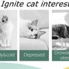 Interaktiver Katzen-Scheibenwerfer