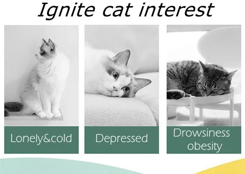 Interaktiver Katzen-Scheibenwerfer