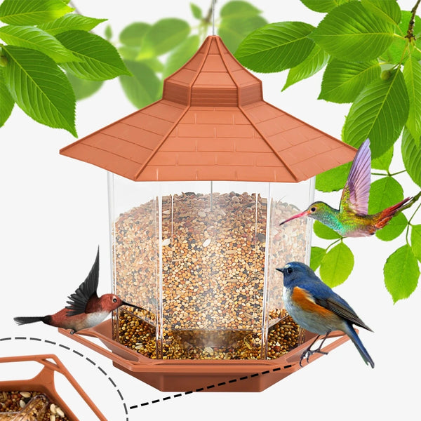 Automatic Bird Feeder with Multiple Ports
