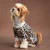 A small, light brown dog wearing a leopard print jumpsuit.
