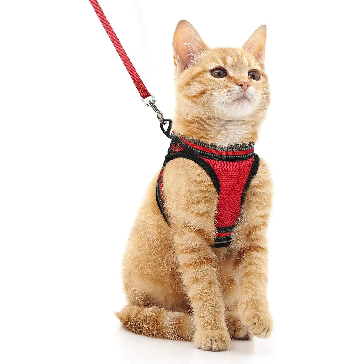 Escape-Proof Cat Harness and Leash Set with Reflective Strips