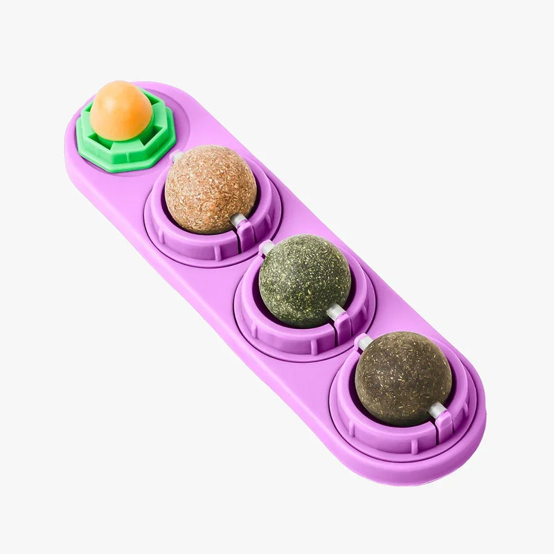 لعبة قضم صحية 4 في 1 بنبتة القطط والفضية