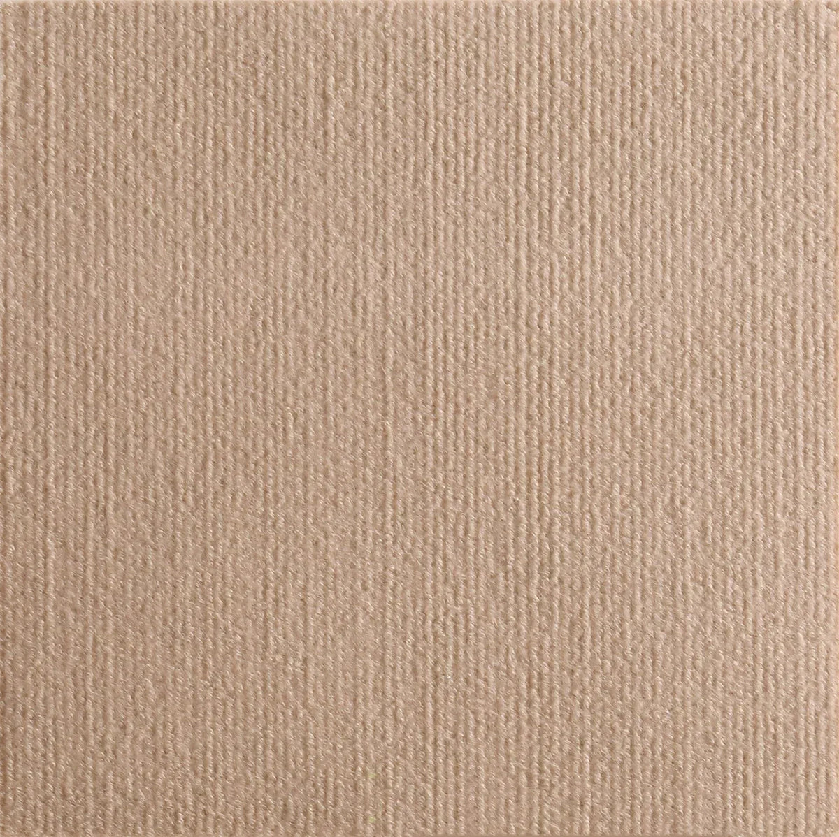 A close-up texture of a beige self-adhesive cat scratch pad material.