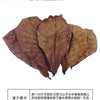 Natural Indian Almond Leaves for Aquarium Water Conditioning