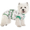 A white fluffy dog wearing a green patterned pet recovery suit.